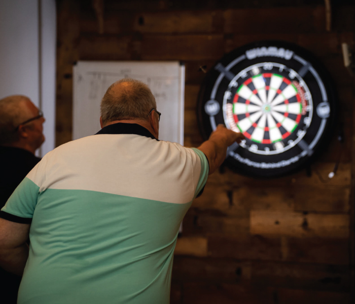DARTS BOARDS