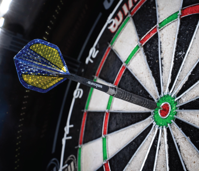 DARTS BOARDS